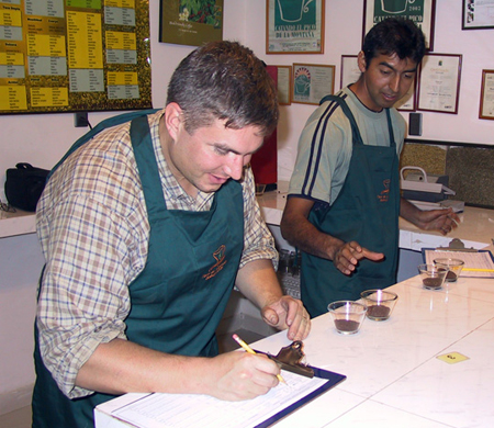 Coffee tasting and classification